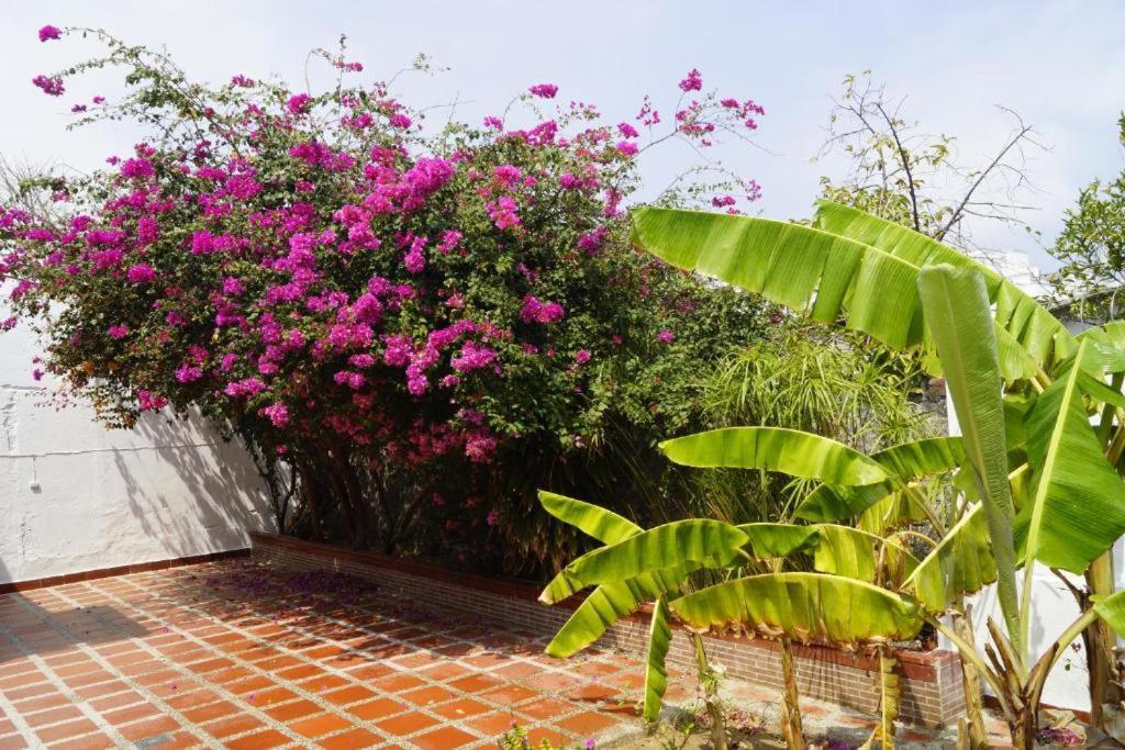 Hotel Mar Di Plata Barranquilla  Esterno foto