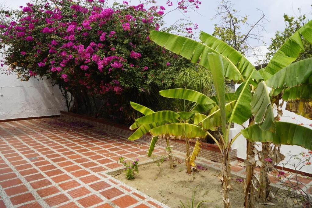Hotel Mar Di Plata Barranquilla  Esterno foto